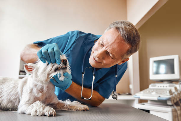Best 24-Hour Emergency Dentist in Newnan, GA